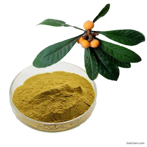 Natural insulin Banaba leaf extract Loquat leaf extract Corosolic acid