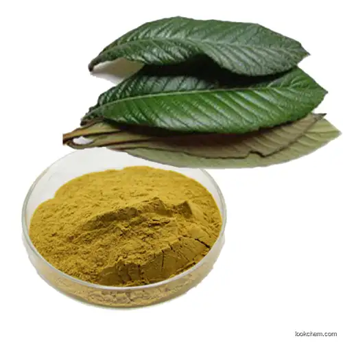 Natural insulin Banaba leaf extract Loquat leaf extract Corosolic acid