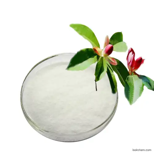 Wash mouth Magnolia extract Magnolol+Honokiol Honokiol 98%