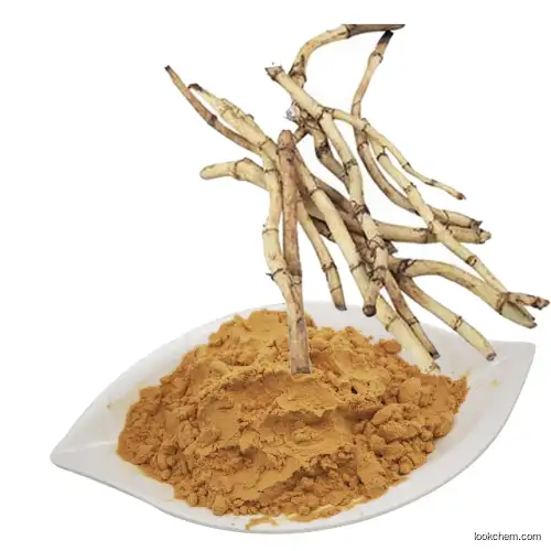Pure natural plant extract Imperata?Cylindrica Extract Imperata Root Extract