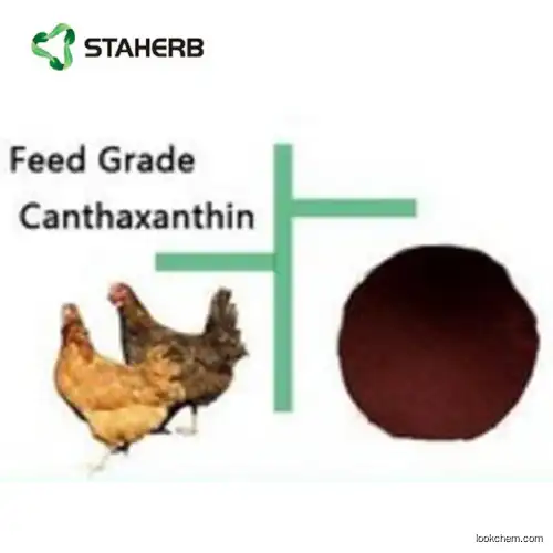 Feeding additive canthaxanthin 10% ?Canthaxanthin Beadlet