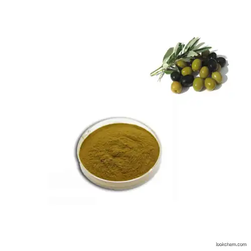 Olive leaf extract Oleuropein 20% 40% HPLC