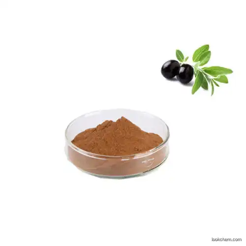 Olive leaf extract Hydroxytyrosol 20% HPLC