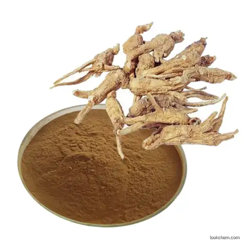 Pharma grade Angelica sinensis extract Ligustilide 1%