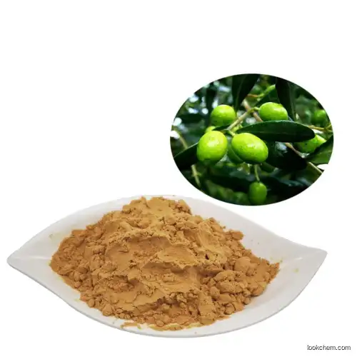 Anti-Cancer Olive leaf extract Oleuropein Hydroxytyrosol