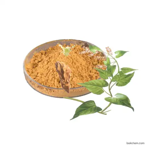 Fleeceflower root extract polygonum multiflorum extract He shou wu extract