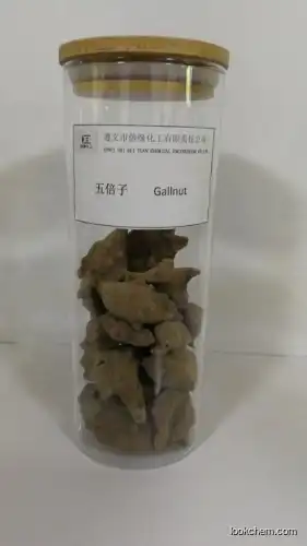 Chinese gallnut