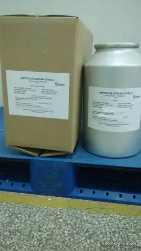 Ampicillin sodium sterile for injection  Lyophilized API EP USP GMP factory price