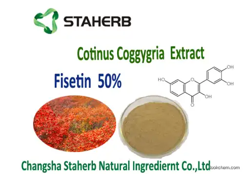 Fisetin,Smoketree extract 10-98%HPLC