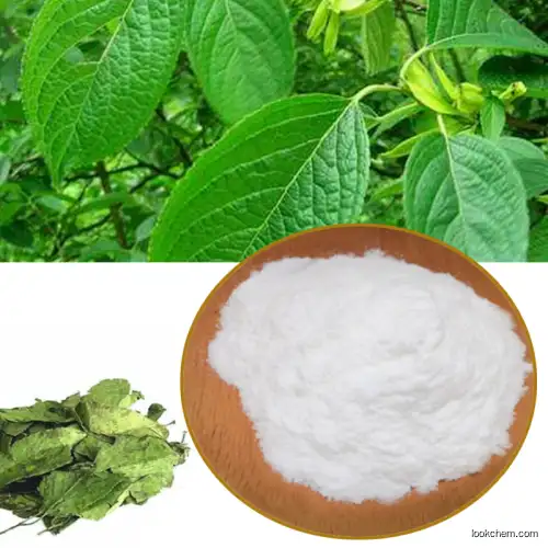 hot sell Green coffee beab extract chlorogenic acid