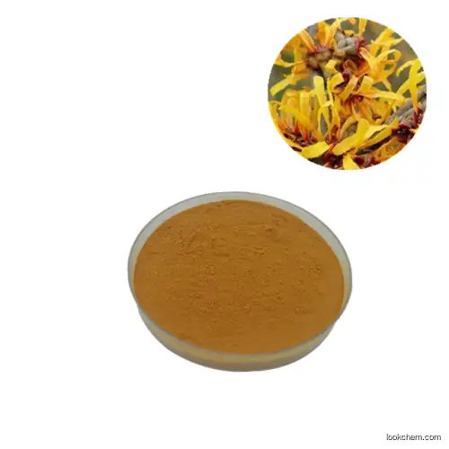 Hamamelis Virginiana Witch Hazel Extract