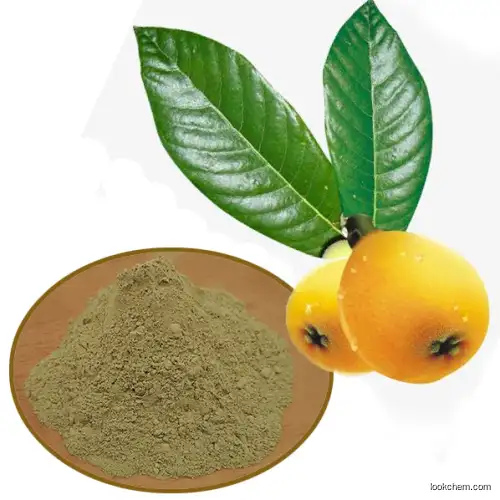 organic Loquat leaf ursolic acid