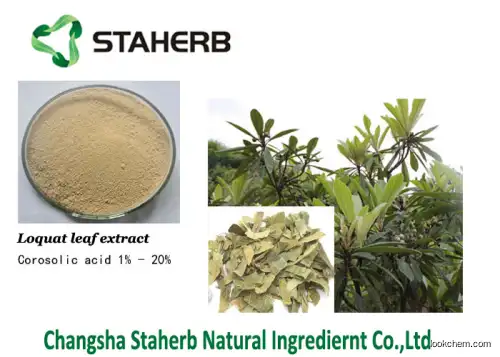 Loquat leaf corosolic acid 4547-24-4