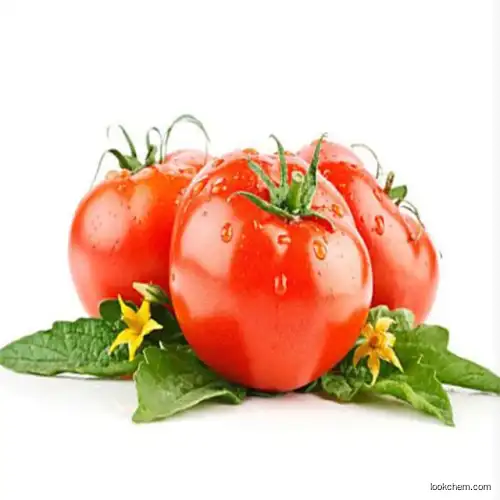 tomato extract Lycopene