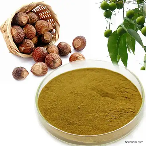 Soapnuts Extract Saponins powder