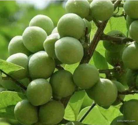 Soapnuts Extract Saponins