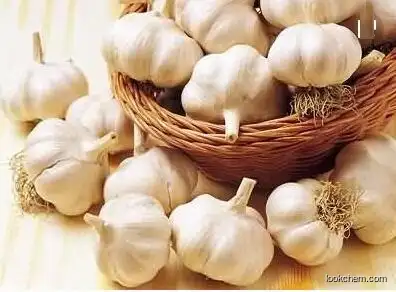 Garlic extract Allicin