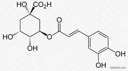 Green coffee bean extract Chlorogenic acid