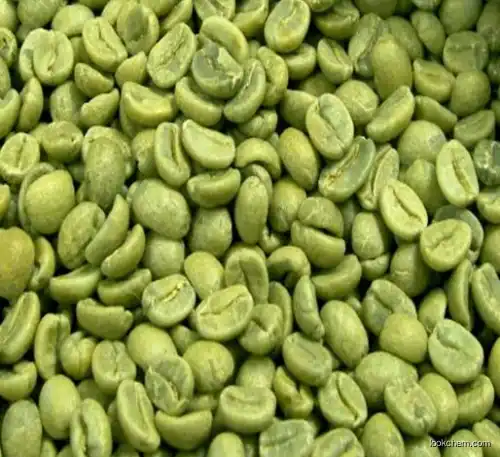 Green coffee bean extract Chlorogenic acid