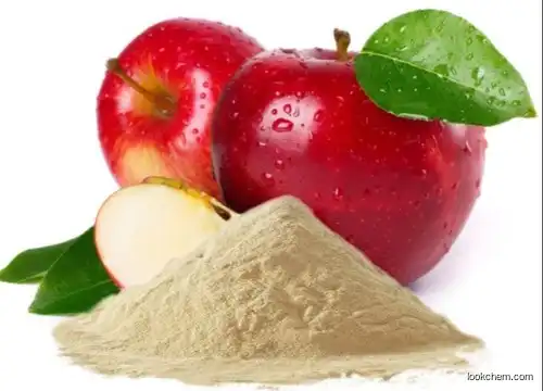 Apple Extract Powder Natural Health Manufacture