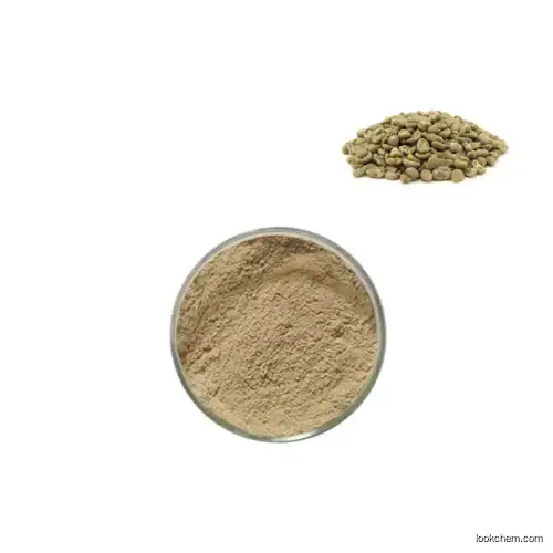 green coffee bean extract chlorogenic acid powder