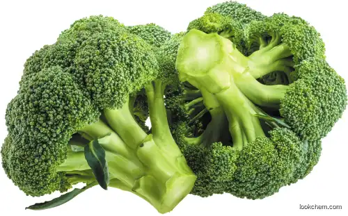 Nutriceutical Broccoli Extract Plant Herb
