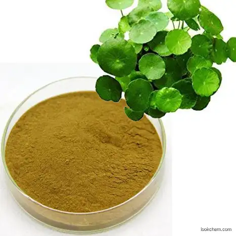 high quality Centella Asiatica extract