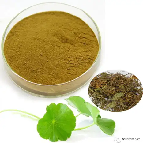 high quality Centella Asiatica extract