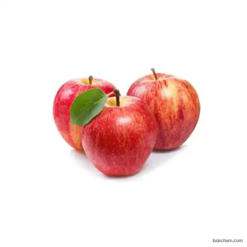 Apple  polyphenol Extract HPLC