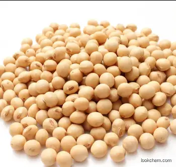 Soybean Extract Soy Isoflavones 40% 80%