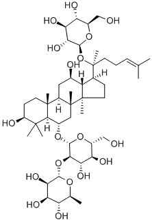 Panax Ginseng Extract