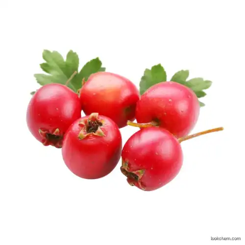 Natural Hawthorn Extract Vitexin 5-98%(leaf)