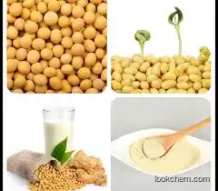 Soybean Isoflavones Extract PURE WHITE NO PESTICIDES Manufacturer