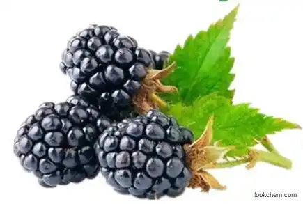 Mulberry Fruit Extract Anthocyanidin 25%