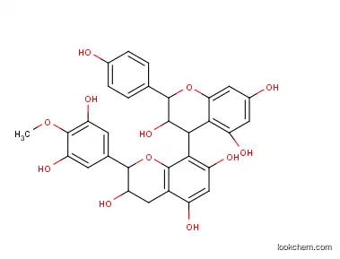 Natural Grape Seed Extract Proanthocyanidins