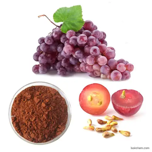 Natural Grape Seed Extract Proanthocyanidins