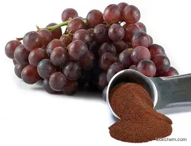 Natural Grape Seed Extract Proanthocyanidins