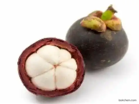 Mangosteen extract