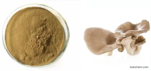 Oyster Mushroom Extract