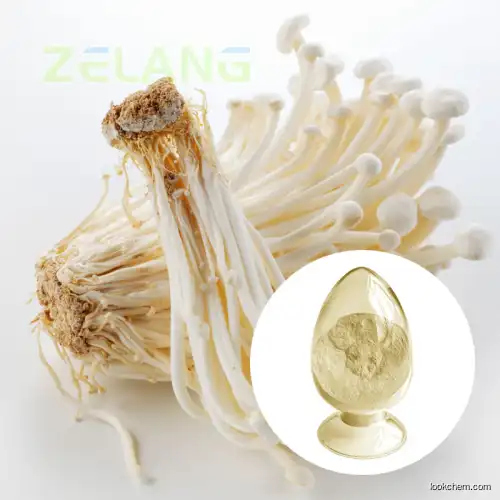 Enokitake Mushroom Extract