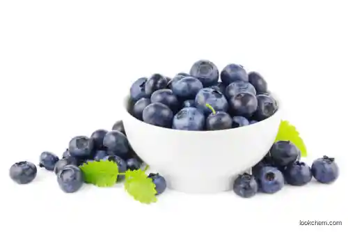 nutritional Blueberry Extract