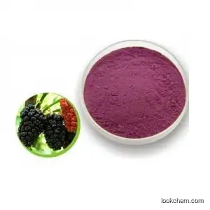 Natural Mulberry Fruit Extract