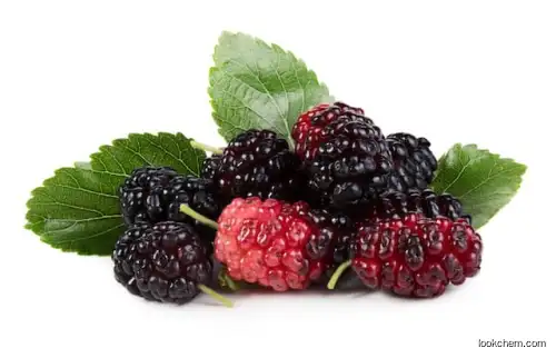 Natural Mulberry Fruit Extract