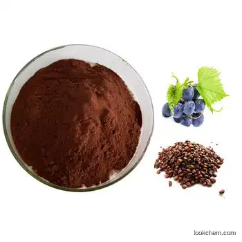 Nutriceutical Grape Seed Extract