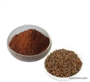 Nutriceutical Grape Seed Extract