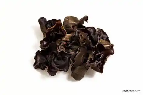 Black Fungus Extract