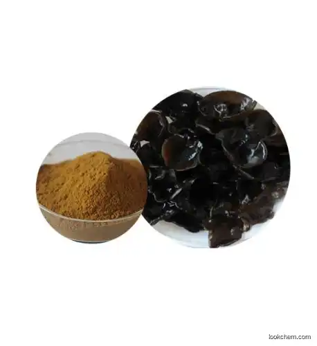 Black Fungus Extract