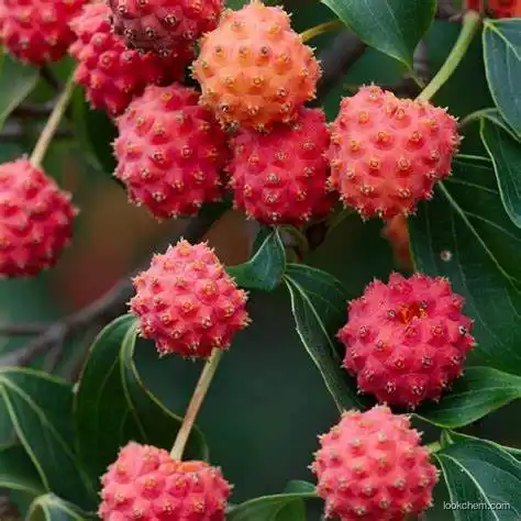 Natural Cornus (Dogwood) Extract