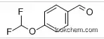 4-(Difluoromethoxy)benzaldehyde, 98%CAS:73960-07-3