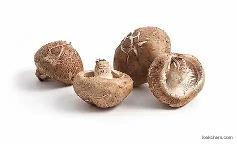 Natural Shiitake Extract (Organic)